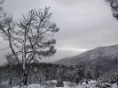 kakokairia xioni
