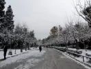 kakokairia_elpis