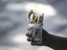 souvlaki