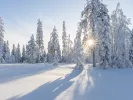 xionia