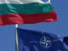 bulgarianato
