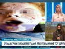θανατος ΑμεΑ