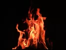 fotia fire