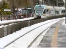 trainose
