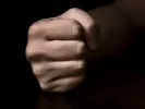 xylodarmos