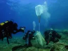 ναυάγιο