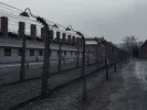 olokautoma