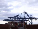 cosco