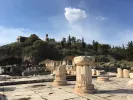eleusina