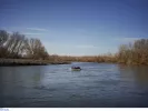 evros_metanastes