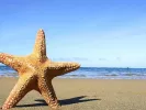 koinonikostourismos
