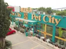 petcity
