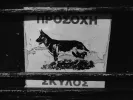 prosoxi_skylos