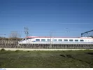 trainose