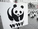 wwf