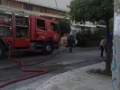 fotia