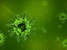 microbio