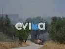 fwtia evoia