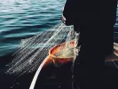 psaras fisherman