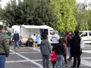 rapid test