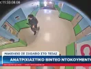 τεχασ