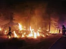 berlin_forest_fire