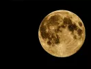 feggari_selini_moon