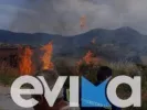 fotia_pyrkagia