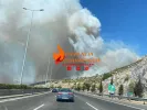 nea_peramos_fotia