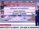 skai eidiseis gia epixorigisi spitiou