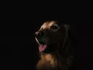 unsplash