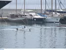 votsalakia_peiraias_paralia