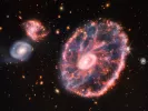 galaxias