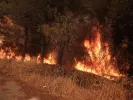 Φωτιά στον Κάλαμο Αττικής
