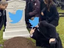 twitter