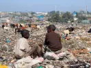 africa