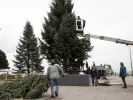 Ακριβότερο το Χριστουγεννιάτικο δέντρο