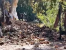 Άρτα: Κατολίσθηση στους Μελισσουργούς, παρασύρθηκαν δύο σπίτια