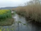 Ποτάμι