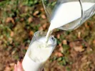 Νέες θέσεις εργασίας στη γαλακτοβιομηχανία Όλυμπος