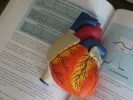 kardia-kardiako-heart-emfragma-1.jpg