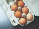avgo-augo-auga-avga-eggs.jpg