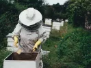 μελισσοκόμος