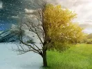 “Διχασμένος” ο φετινός Φεβρουάριος, σύμφωνα με το meteο: Ακραία χαμηλές θερμοκρασίες στο πρώτο 15ήμερο και ακραία υψηλές στο δεύτερο