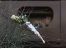 Λάρισα: Ο νέος εφέτης ανακριτής συνεχίζει την έρευνα για την τραγωδία στα Τέμπη