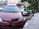 Δήμος Θεσσαλονίκης: Μήνυση κατά οδηγού που πάρκαρε το αυτοκίνητό του πάνω σε κορμό δέντρου