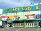 pet city