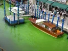Το νερό στο κανάλι της Βενετίας έγινε πράσινο