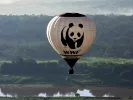 Υπεύθυνος τοπικών δράσεων στη WWF Ελλάδος