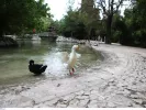 Ζάππειο Μέγαρο